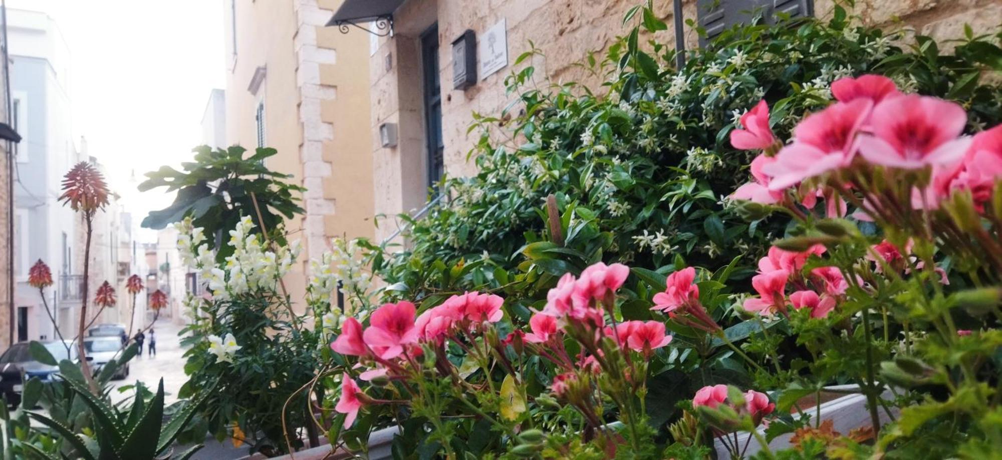 孔韦尔萨诺Dimora Delle Badesse住宿加早餐旅馆 外观 照片